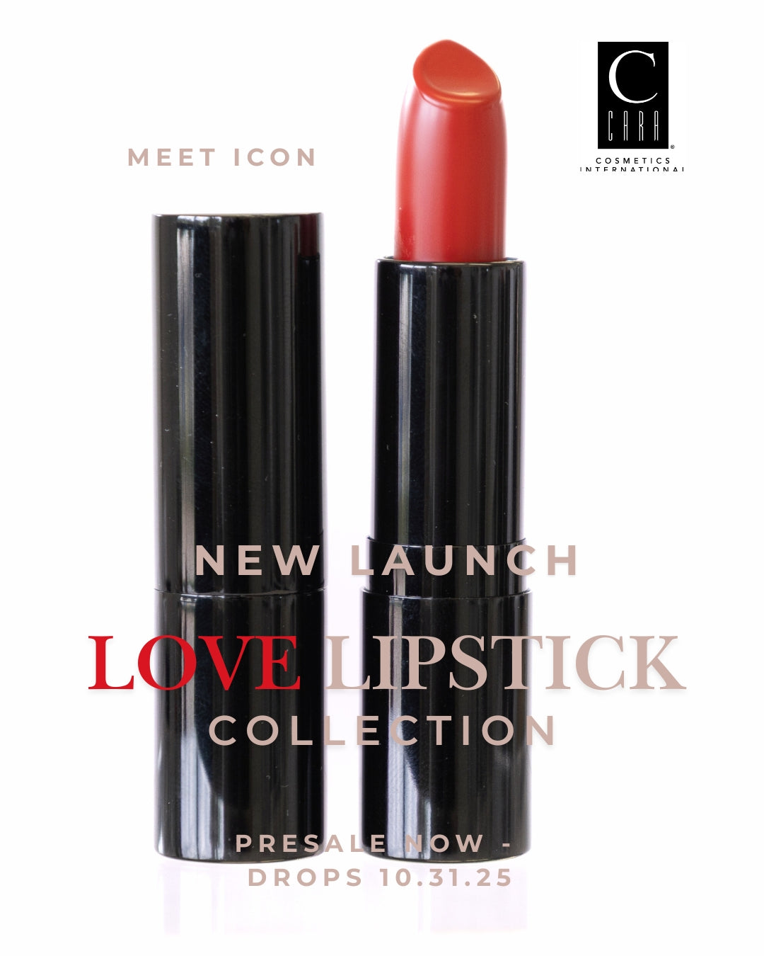 PRESALE: LOVE Lipstick Collection