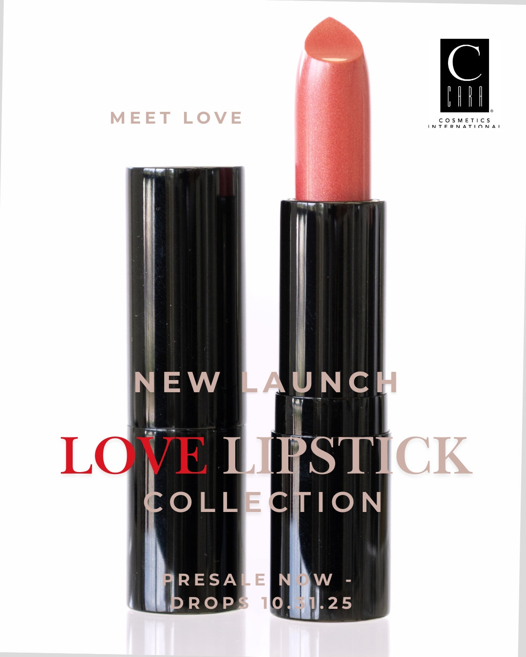 PRESALE: LOVE Lipstick Collection