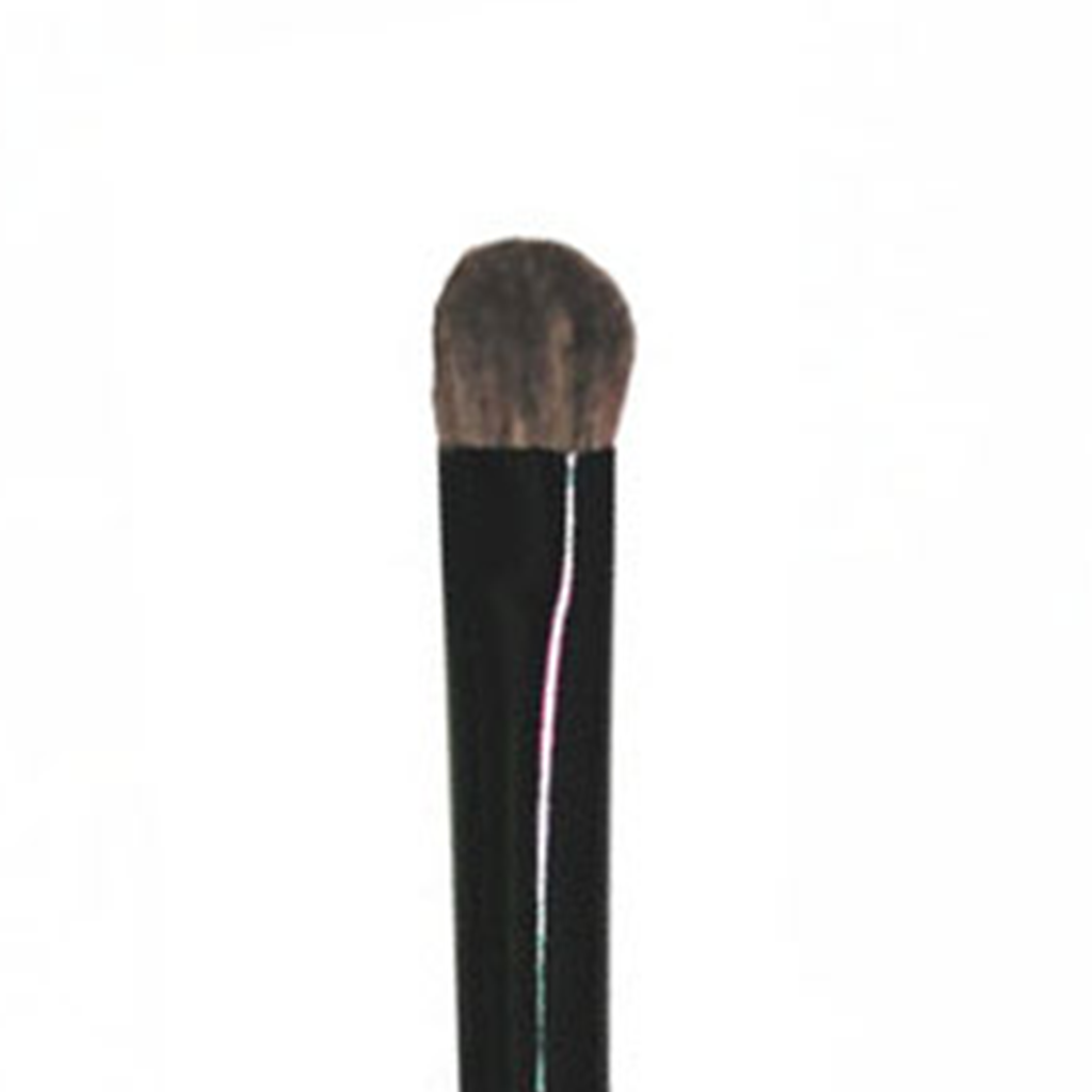 Small Eyeshadow Brush