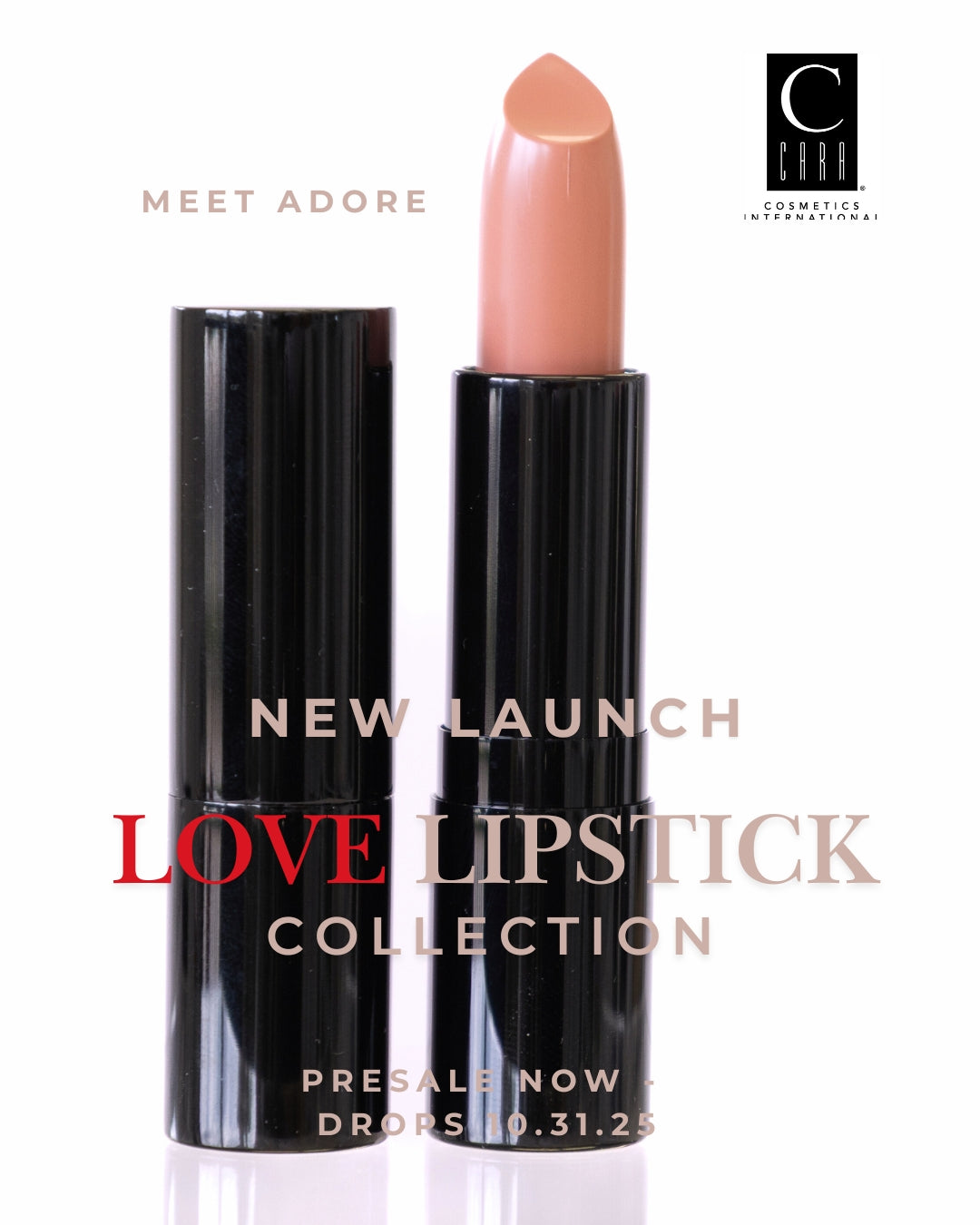 PRESALE: LOVE Lipstick Collection