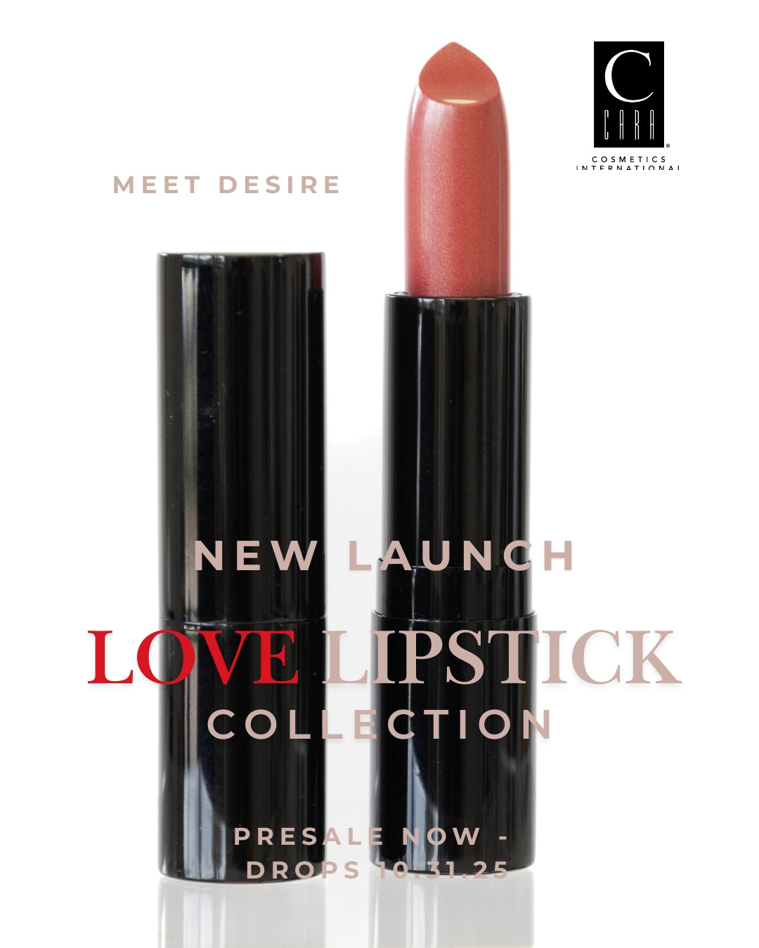 PRESALE: LOVE Lipstick Collection